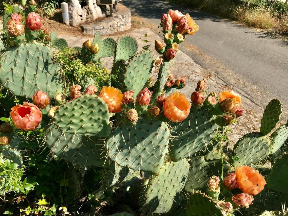 Hebergements Des Posas Sampzon Dış mekan fotoğraf